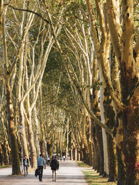 Rear view of people walking on footpath amidst trees in city