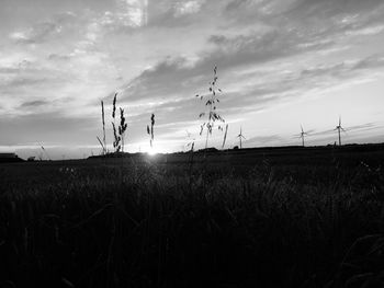 Scenic view of field against sky during sunset