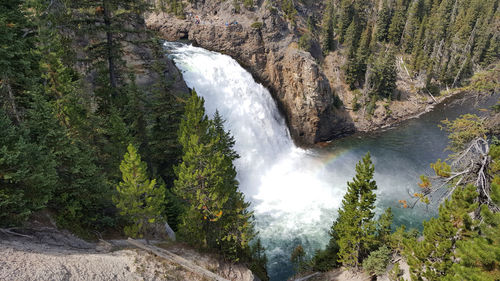 Scenic view of waterfall in forest