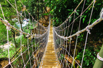 View of footbridge in forest