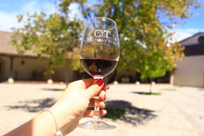 Close-up of hand holding wineglass