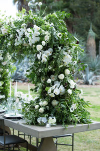 Close-up of flowers on table