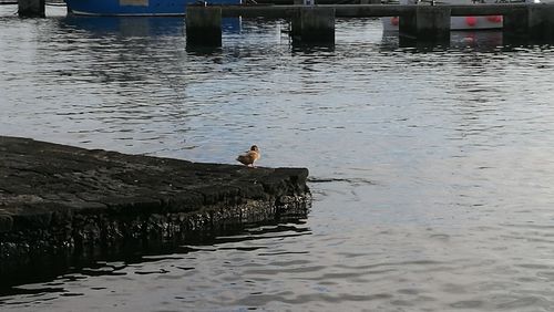 Man standing in water