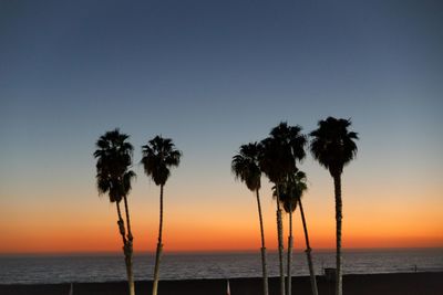 Silhouette palm trees on beach against sky during sunset
