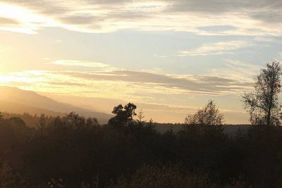 Scenic view of landscape against sky during sunset