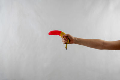 Close-up of hand holding red berries against white background