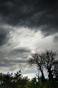 Low angle view of silhouette trees against sky