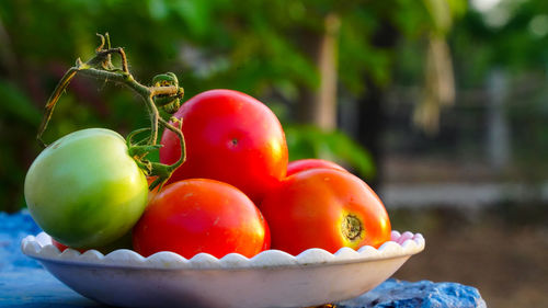 Close-up of tomatoes in bowl