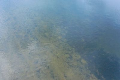 Full frame shot of sea shore