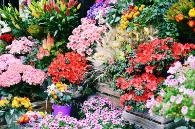 Full frame shot of multi colored flowers for sale in market