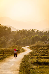 Rear view of woman walking along country road