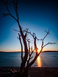 Silhouette bare tree by sea against sky during sunset