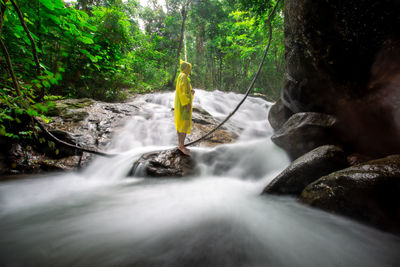 Scenic view of waterfall in forest