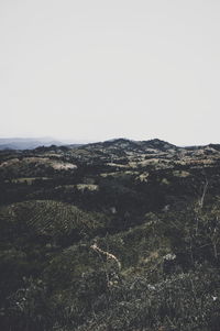 Scenic view of landscape against clear sky