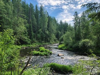 Scenic view of waterfall in forest against sky