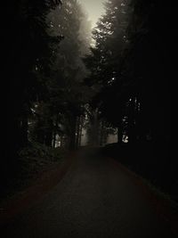 Empty road amidst trees in forest