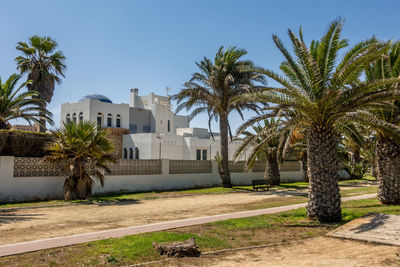 Palm trees and buildings against sky