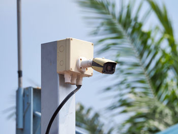 Low angle view of security camera against palm tree