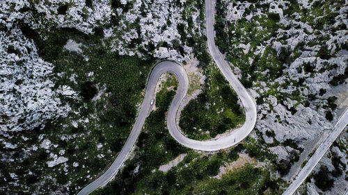 High angle view of road amidst trees