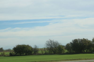 Trees on landscape against sky