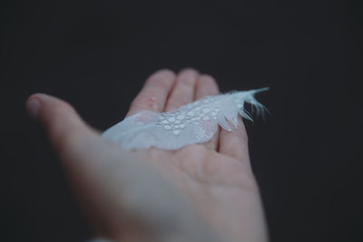 Close-up of hand holding feather against black background