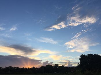 Low angle view of silhouette trees against sky during sunset