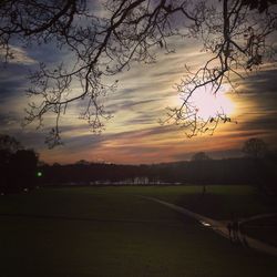 Silhouette tree on field against sky at sunset