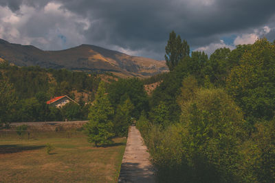 nature
