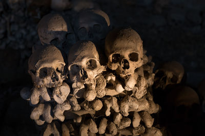 Close-up of human skull