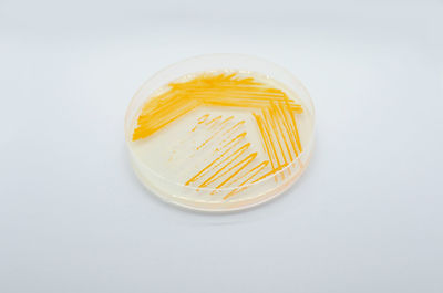 High angle view of bread in glass on white background