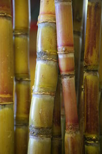 Close-up of food on table