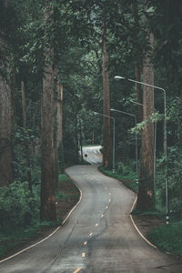 Empty road along trees in forest