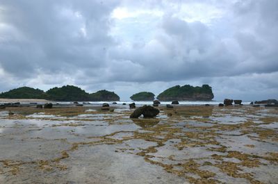 Scenic view of beach against sky