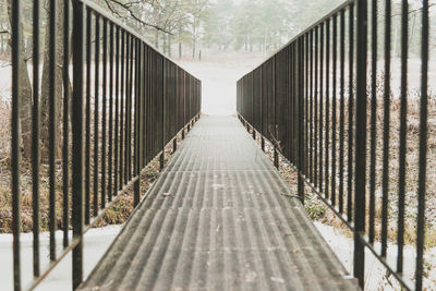 Empty footpath amidst trees