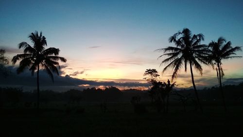 Silhouette palm trees against sky during sunset