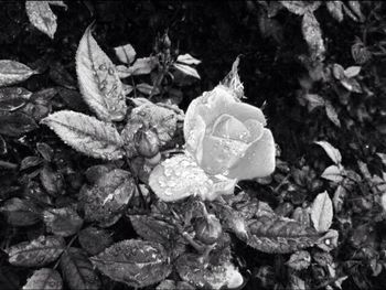 Close-up of white background