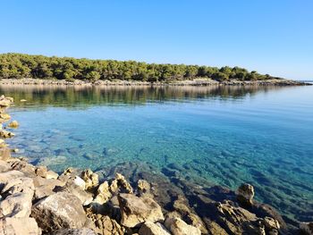 Scenic view of sea