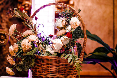 Close-up of plants in basket