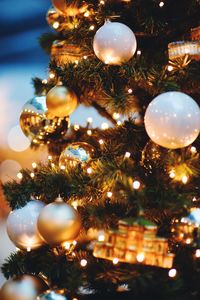 Close-up of illuminated christmas tree