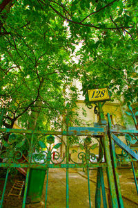 Low angle view of sign against trees