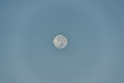 Low angle view of moon against blue sky