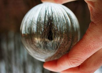 Cropped image of man holding crystal ball