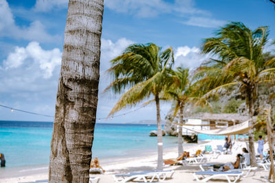 Palm trees by swimming pool against sky