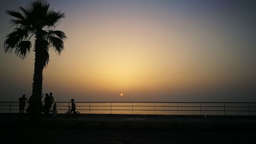 Silhouette palm trees by sea against clear sky during sunset