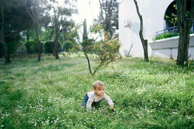 Full length of cute baby on field