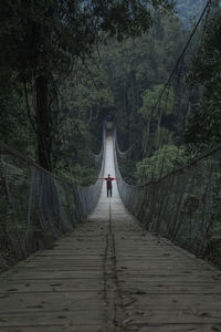 Rear view of person walking on footbridge in forest