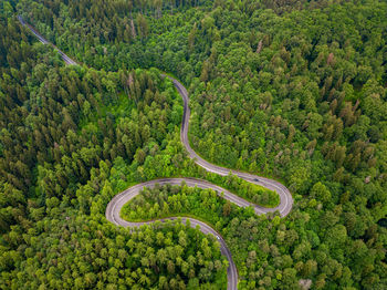 Tarmac road seen from above. aerial view of an extreme winding road through middle of the forest