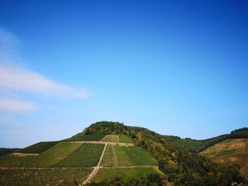 Scenic view of field against clear blue sky