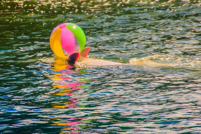 View of floating in river