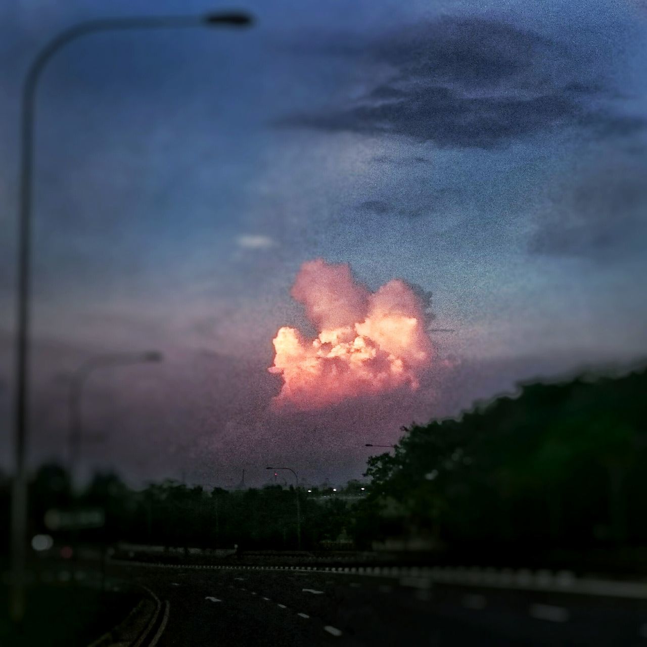 sky, cloud - sky, nature, weather, field, transportation, sunset, beauty in nature, road, landscape, flower, cloudy, dusk, fragility, tranquility, plant, tranquil scene, outdoors, season, growth